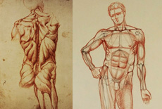 Human Head Proportions - Anatomy Master Class | Anatomy Master Class