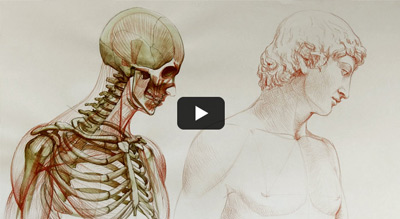 DRAWING ACADEMY - Click Here