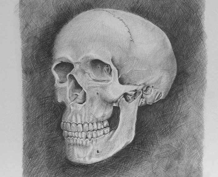 First try - Artwork by Johann Krammer, Anatomy Master Class student
