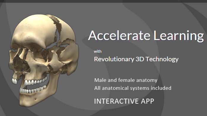 Interactive 3D Anatomy App