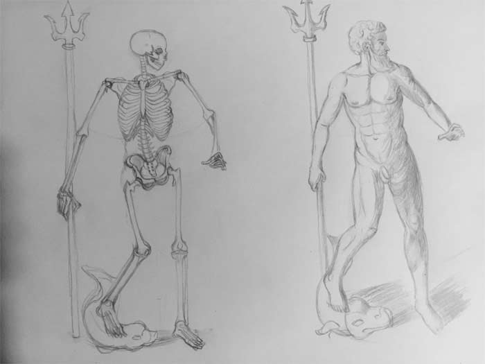 Drawing by Ann Marie, Anatomy Master Class student