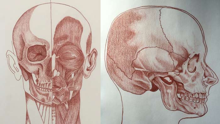 Anatomy drawing skills in doctor's practice