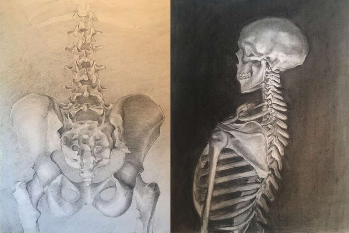 Anatomy Drawings by Anatomy Master Class student