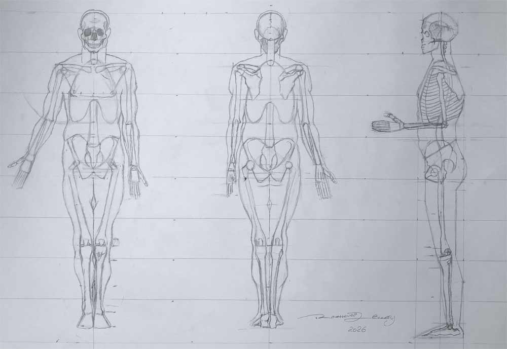 Anatomy Drawings by Roossevelt