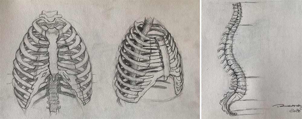 Anatomy Drawings by Roossevelt