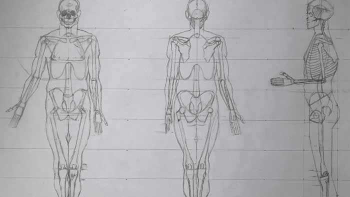 Anatomy Master Class Students Gallery