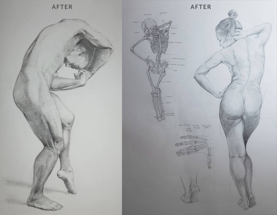 Drawing Anything I Want or Imagine - Anatomy Master Class