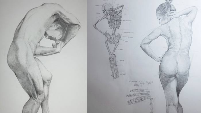 Anatomy Master Class Students Gallery