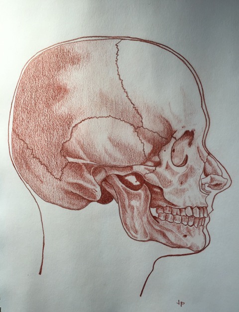 How to Draw the Human Head: Techniques and Anatomy