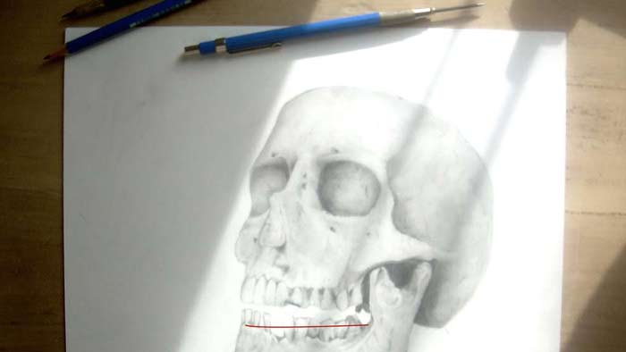 Skull drawings