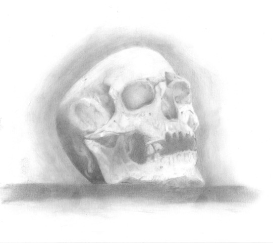Skull Drawings by Stephane, Anatomy Master Class student