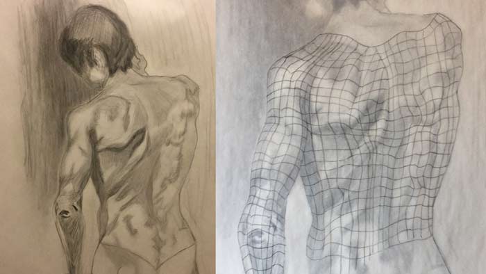 Upper Torso Drawing With Contour Lines