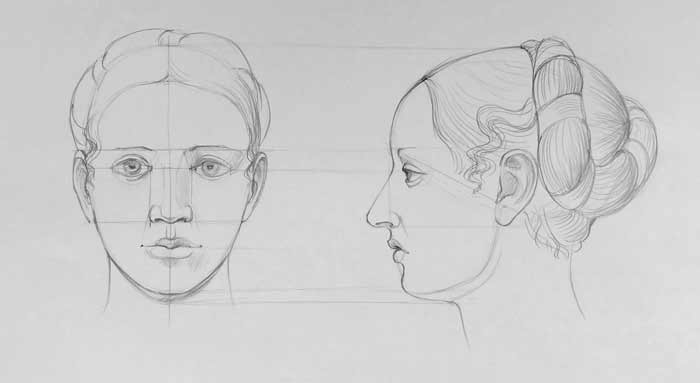 Human Head Proportions - Anatomy course for artists