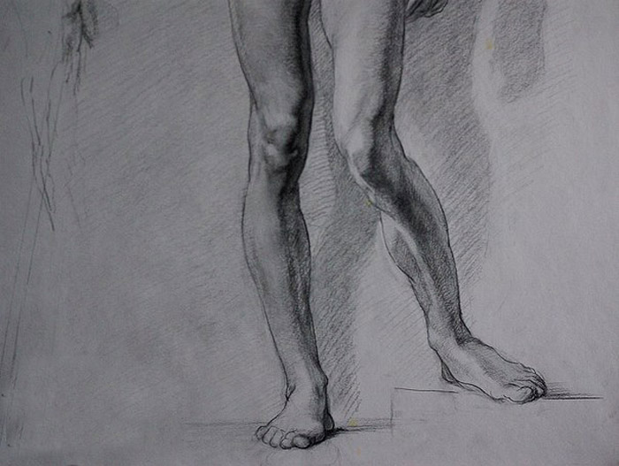 Leg Anatomy