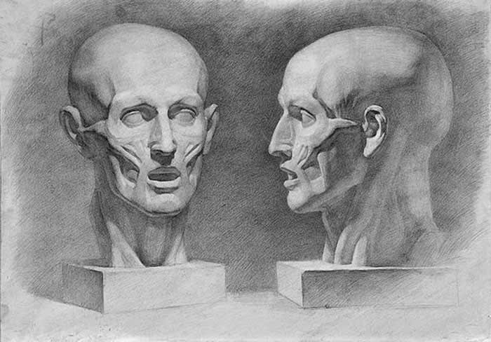 Facial Anatomy - Anatomy course for artists