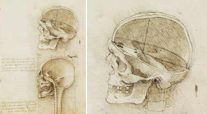 How to Draw a Skull