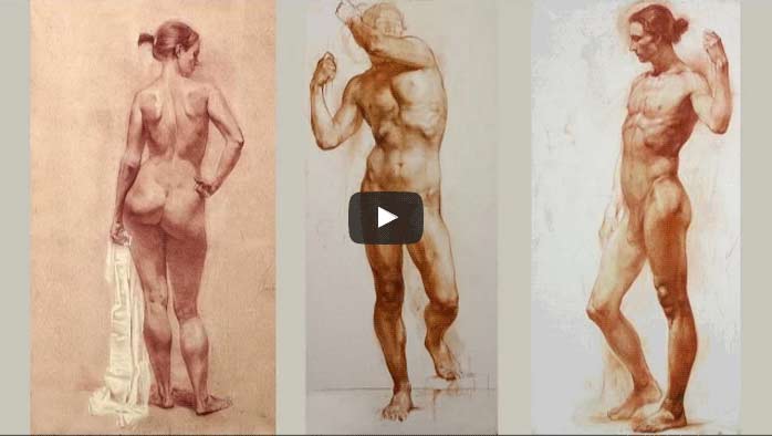 7 Erroneous Beliefs about Anatomy for Artists