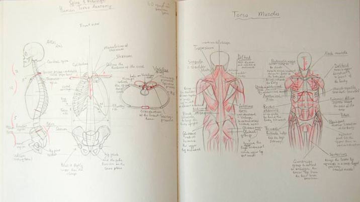 Anatomy Master Class review by Irina Grabarnik