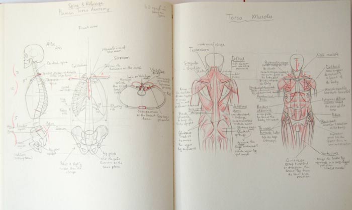 Anatomy Master Class review by Irina Grabarnik