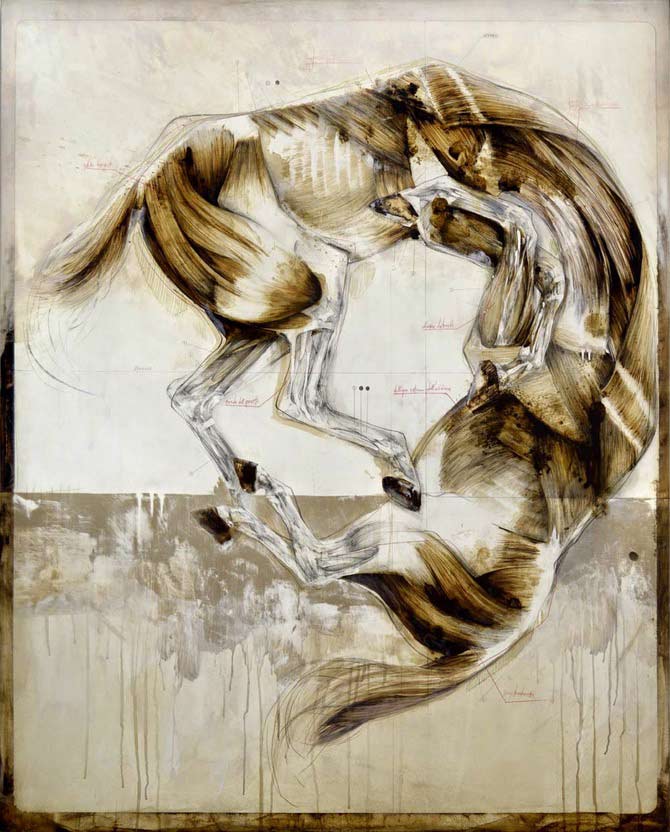 Beautiful-Anatomical-artworks-by-Nunzio-Paci