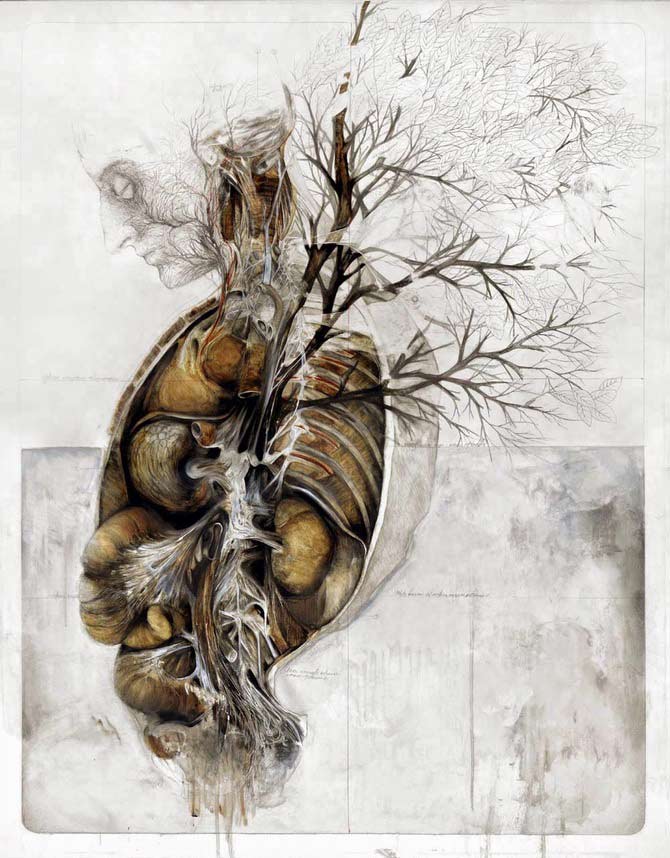 Beautiful-Anatomical-artworks-by-Nunzio-Paci