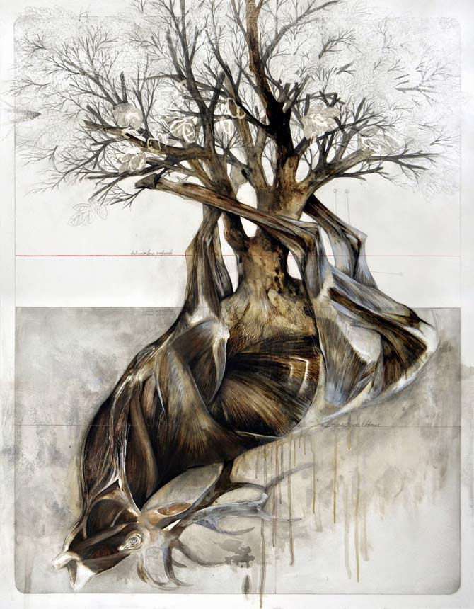 Beautiful-Anatomical-artworks-by-Nunzio-Paci