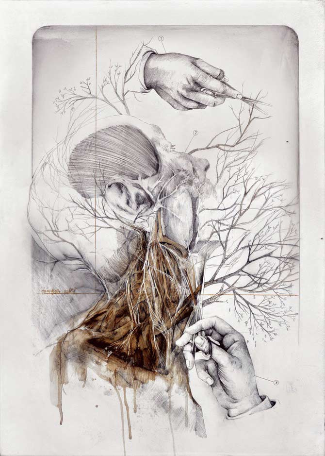 Beautiful-Anatomical-artworks-by-Nunzio-Paci