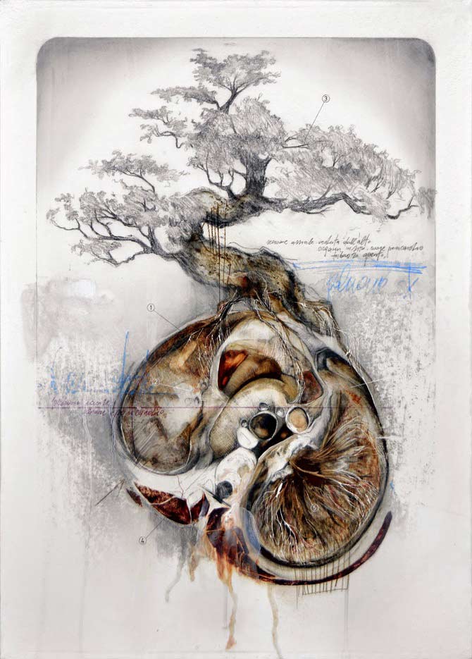 Beautiful-Anatomical-artworks-by-Nunzio-Paci