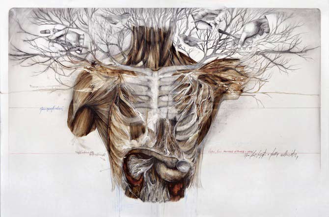 Beautiful-Anatomical-artworks-by-Nunzio-Paci