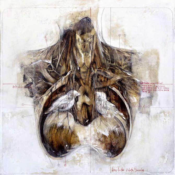 Beautiful-Anatomical-artworks-by-Nunzio-Paci