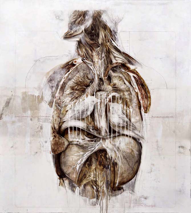 Beautiful-Anatomical-artworks-by-Nunzio-Paci