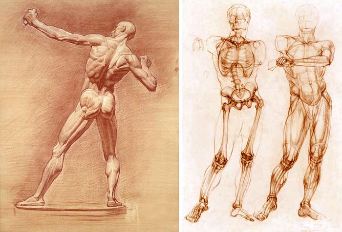 Drawing what you know vs. Drawing what you see