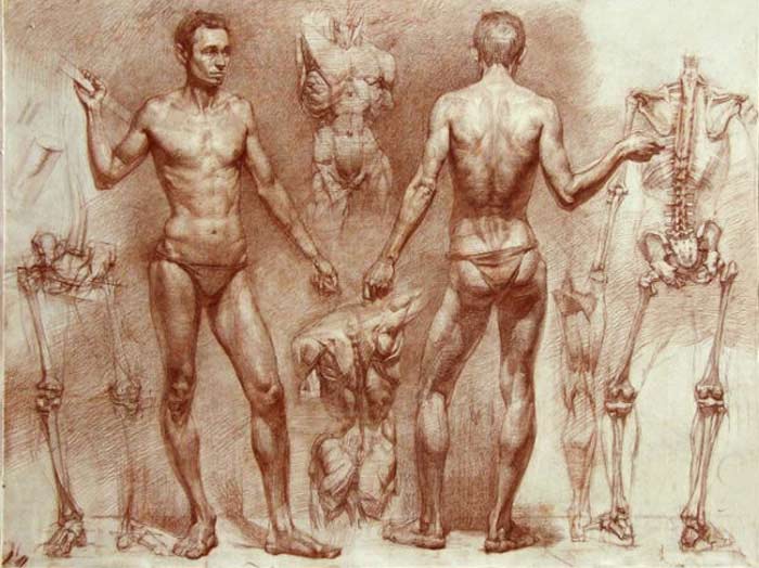 How to learn figurative drawing