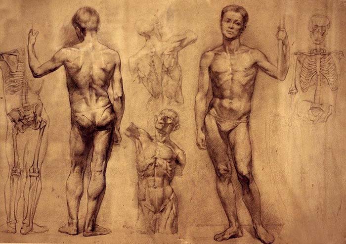 How to learn figurative drawing