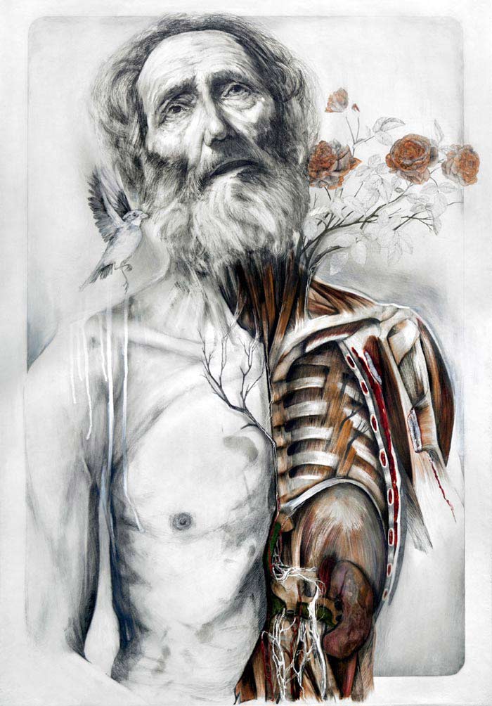 Beautiful Anatomical Artworks By Nunzio Paci Anatomy Master Class