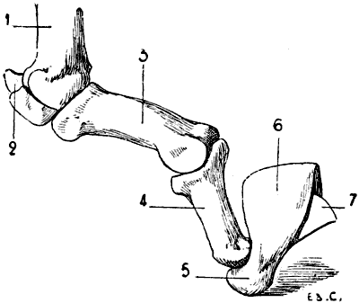 Fig. 37