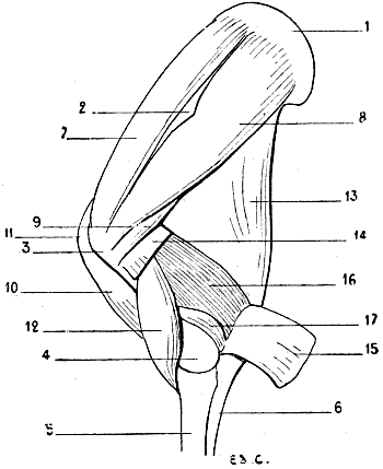Fig. 72
