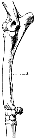 Fig. 79
