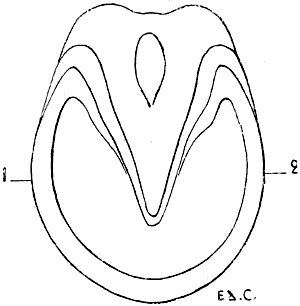 Fig. 103